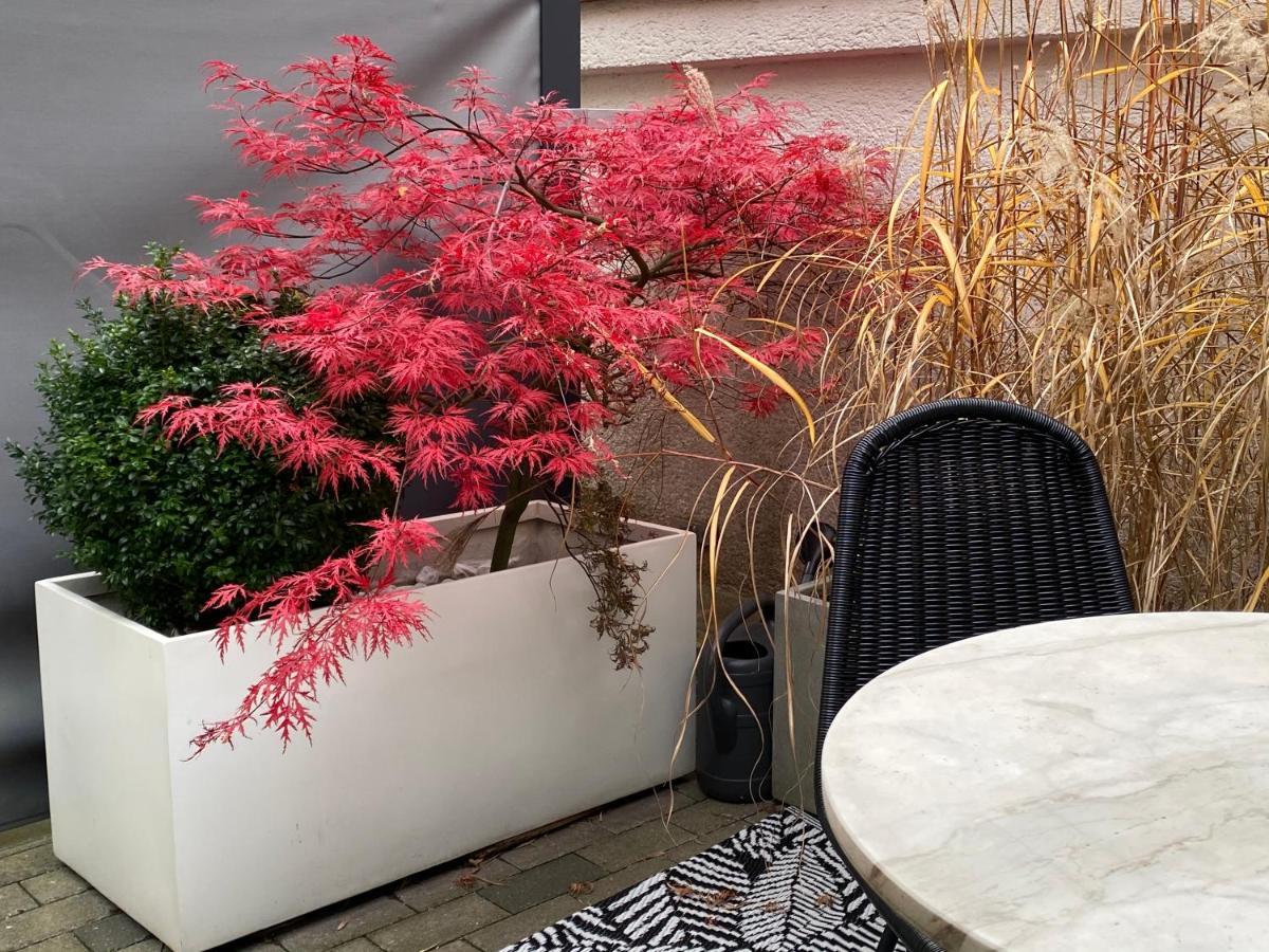 Como Design-Apartment Close To Isar River Area - Centrally Located Мюнхен Екстериор снимка