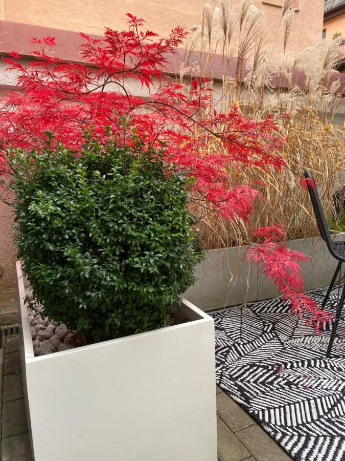 Como Design-Apartment Close To Isar River Area - Centrally Located Мюнхен Екстериор снимка